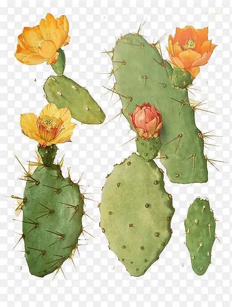 ˮ��������-������