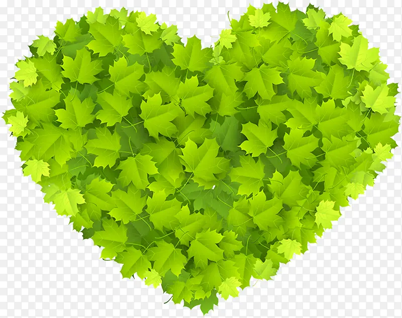 �������°���ֲ��-������