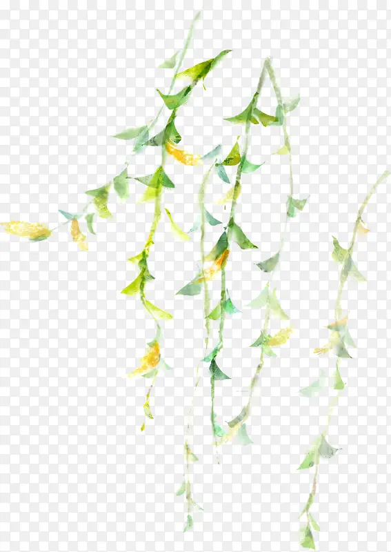 ���´���ֲ����֦-������