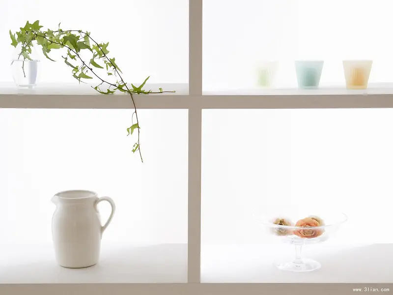 ���¼�Լֲ��ʳ��-������