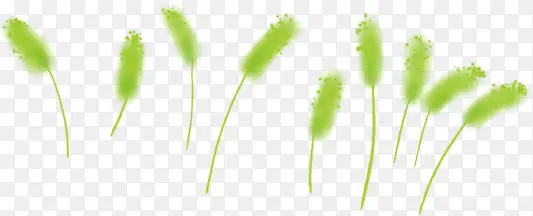 ���崴��ϳɱ�ƽ���β�Ͳ�-������