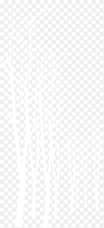 ��ƽ�����������֦-������