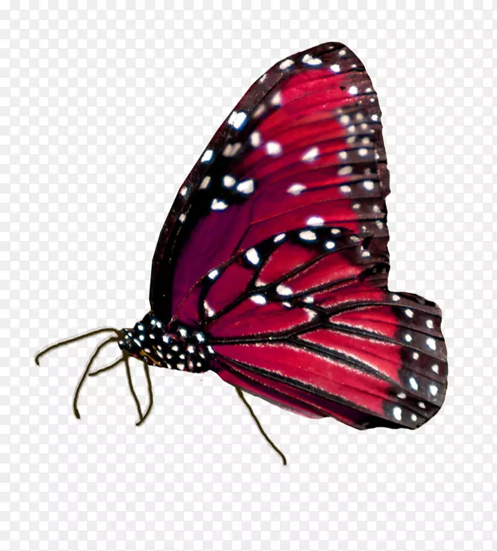 �������������洫���ߣ������-����-������