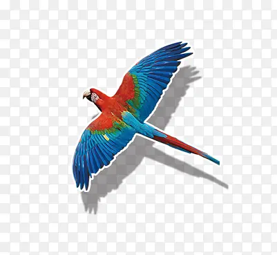 ��ɫ����-������