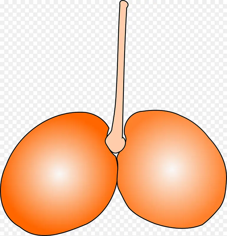 ��ɫ����-������