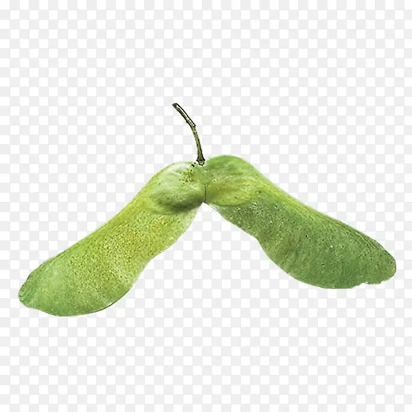 ��������-������