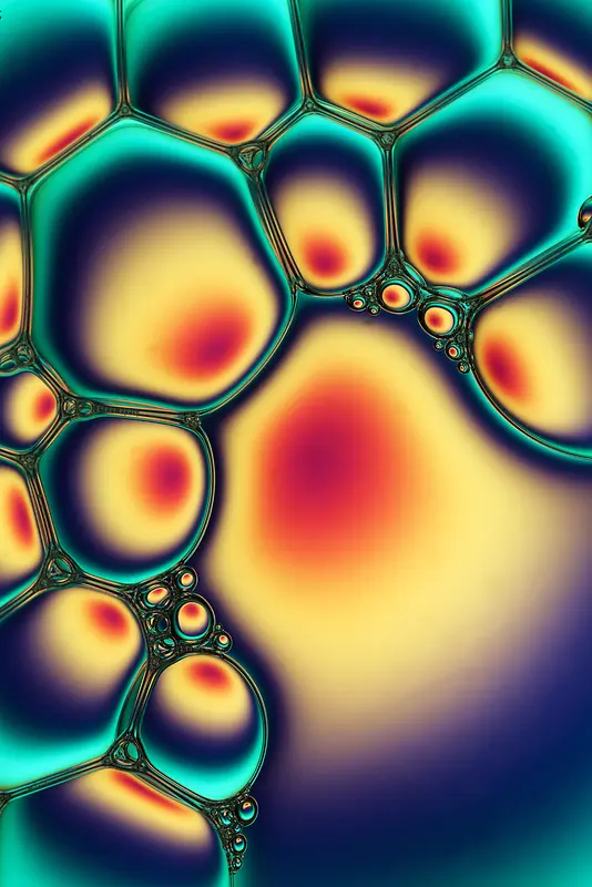 ������󱳾�-������