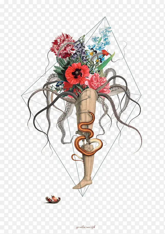 ����廭ͼ��-������