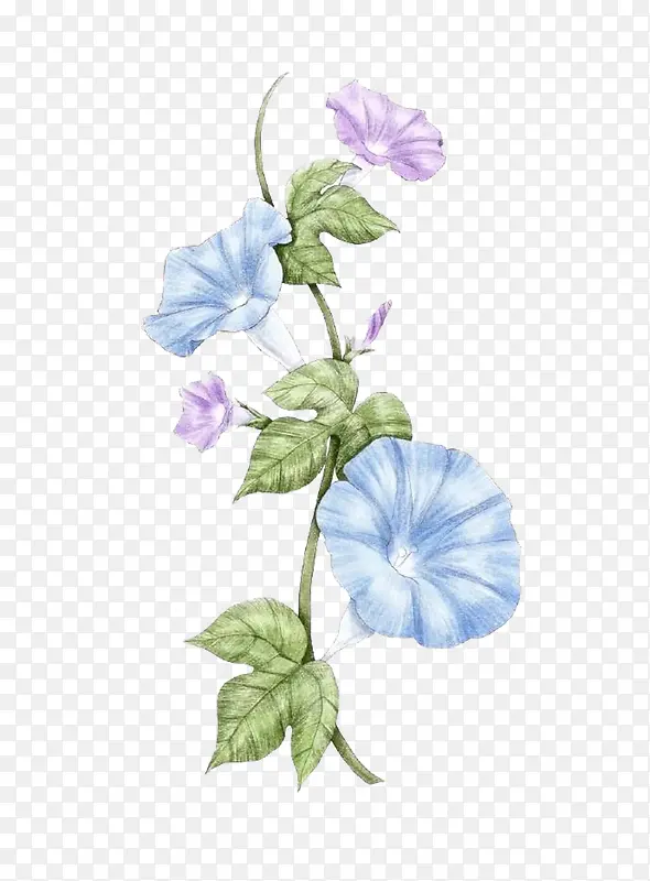 ��Ǧ����廭����-������