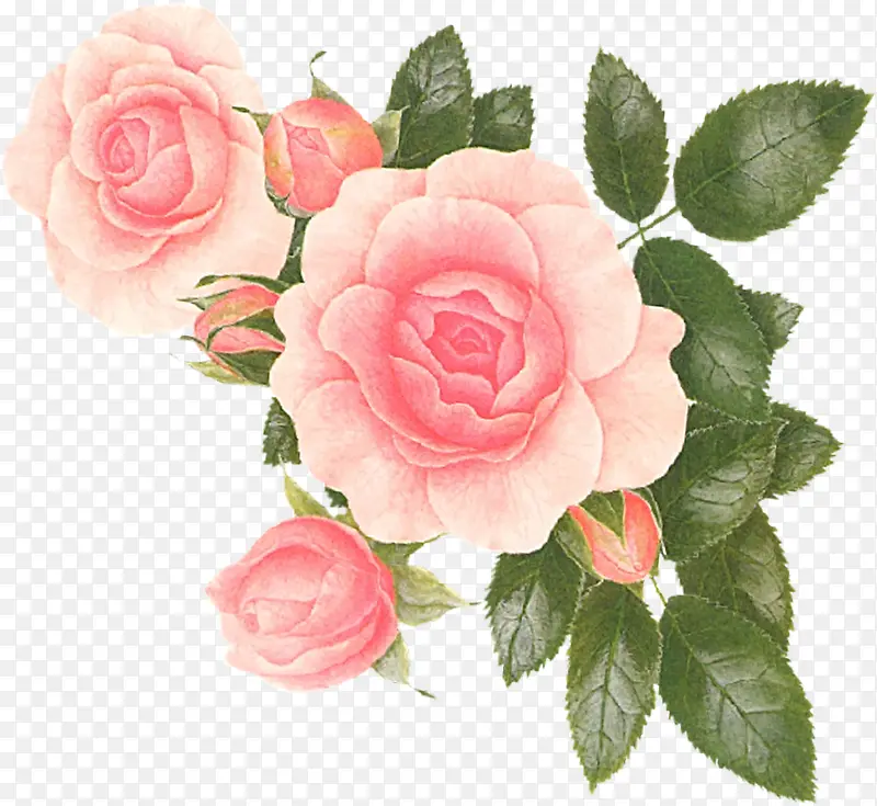 �ֻ�廭�������-������