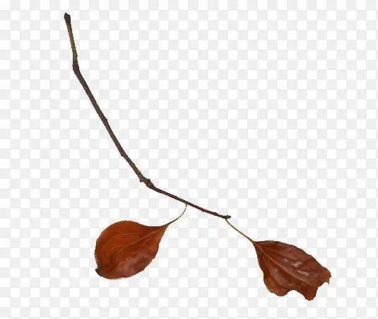 �ɿ���֦ʸ��ͼ-������