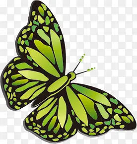 ����ں����������-������