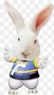 �ֻ����Ӵ���չ��-������