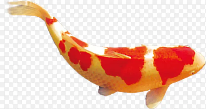 �ֻ洴������չ��-������