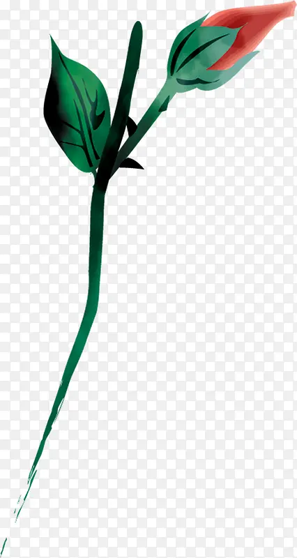 ˮ�ʻ�Ǿޱ��չ��-������