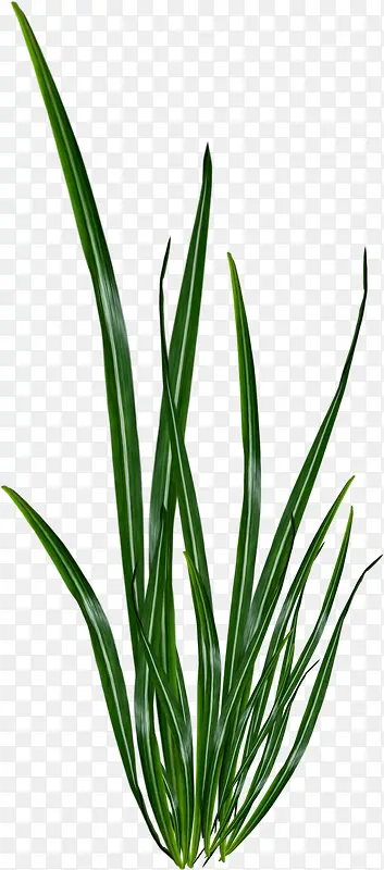 ˮ��-������