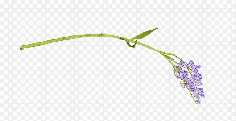 һ��޹�²�-������