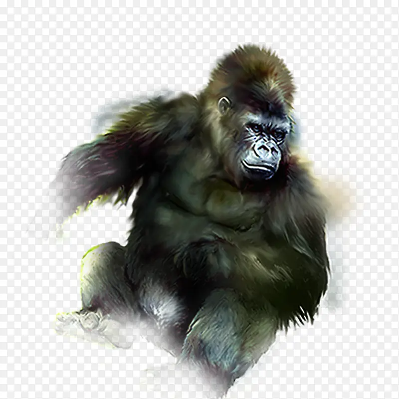 ����-������