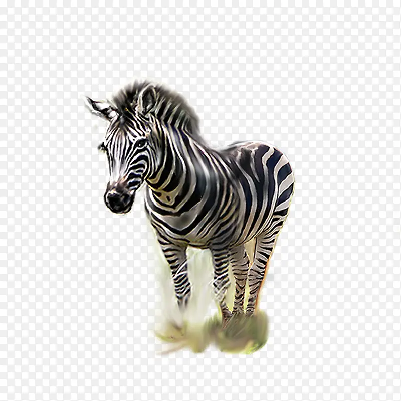 ����-������