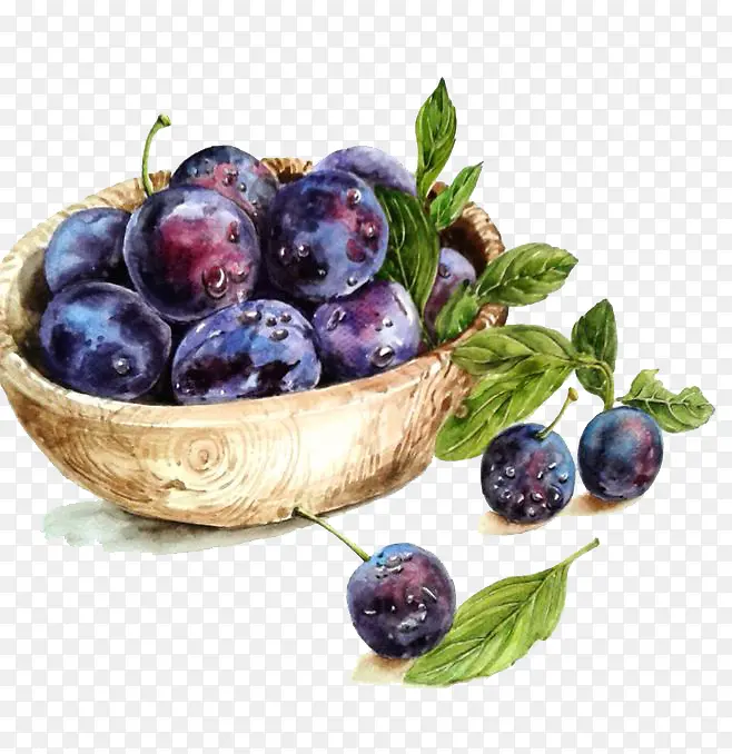 ˮ����ݮ-������