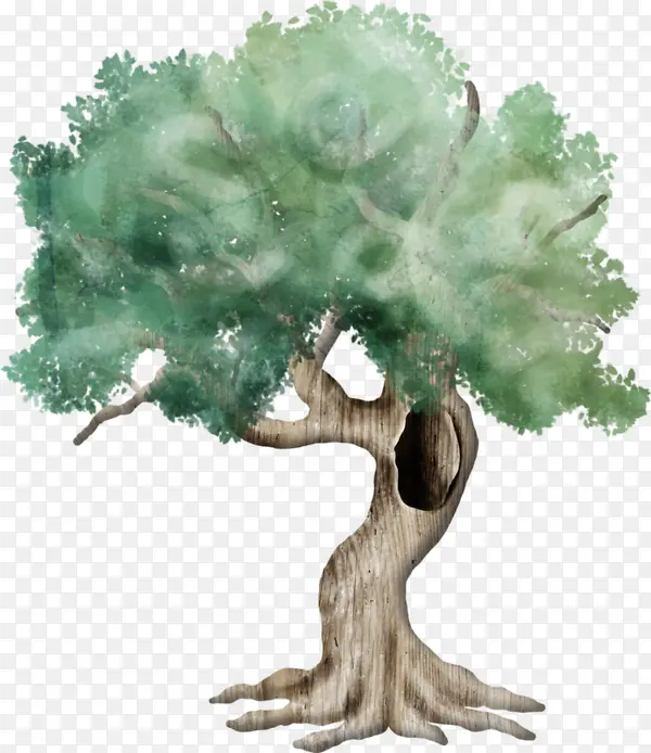 ˮ����-������