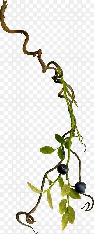 ����ͼ��-������