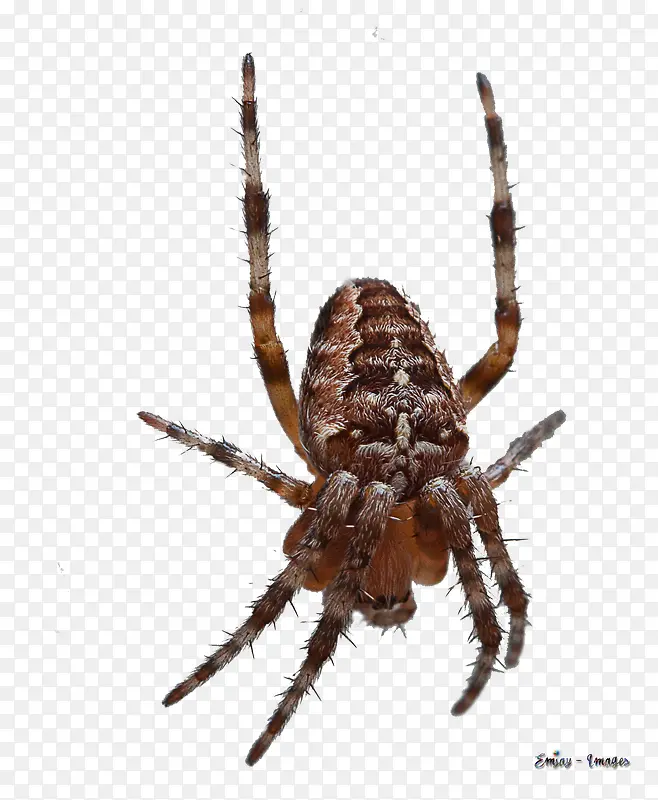 ֩�붯��-������