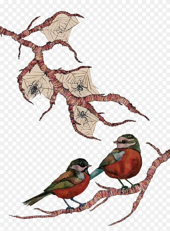 ��֦�ϵ�����֩��-������