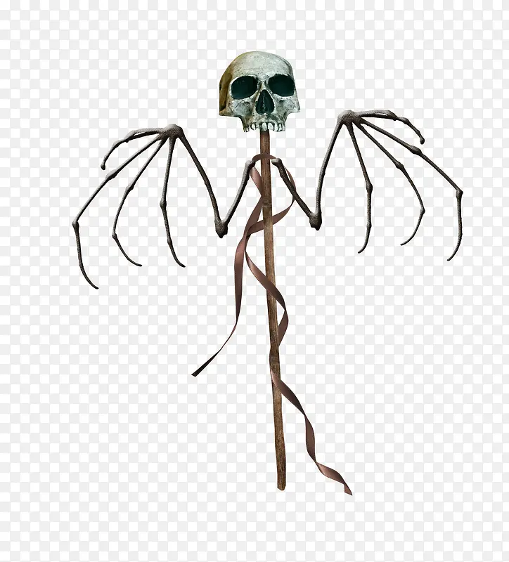 ����֩��-������