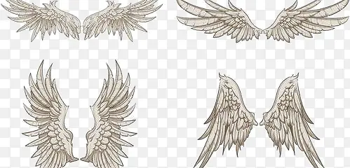 ��ɫ���-������