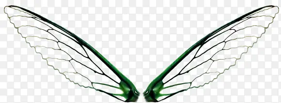 ��ħ���������-������