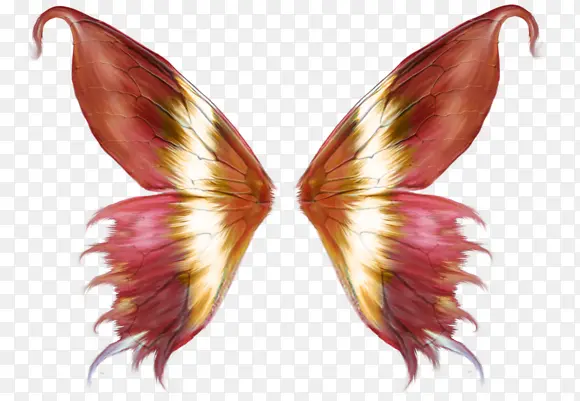 ����������ħ���-������