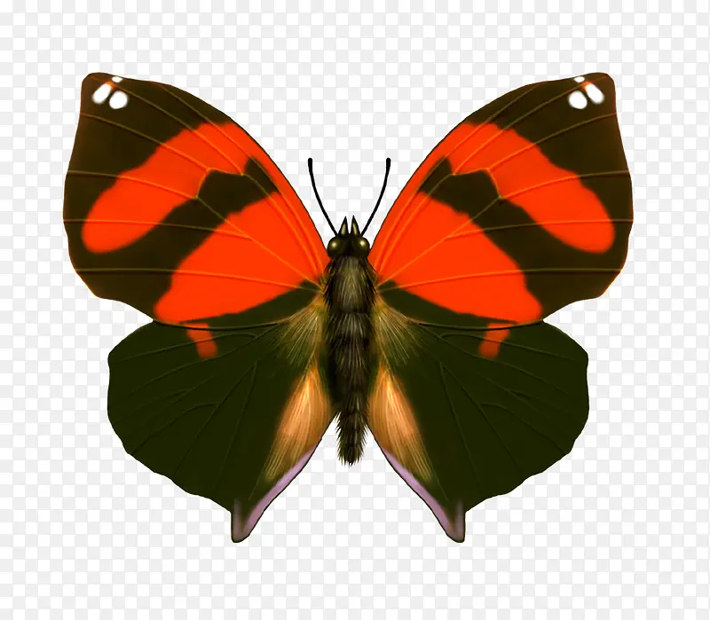 ����-������