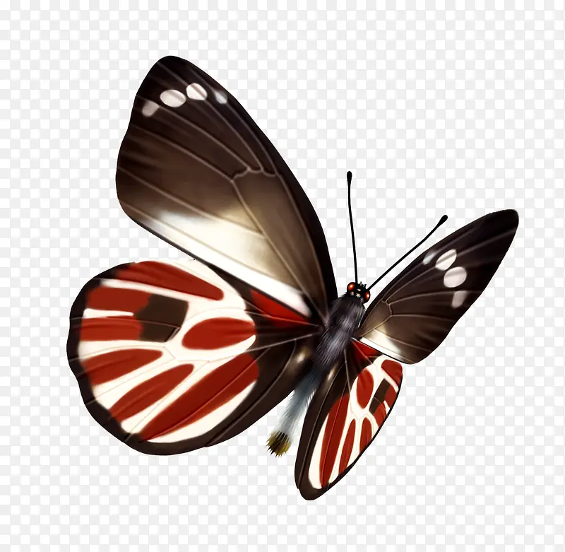 ����-������