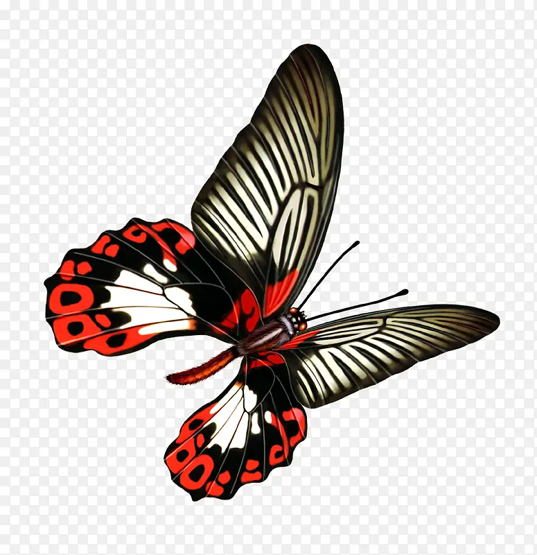 ����-������