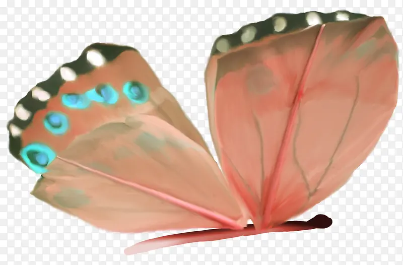 ������ɫ������-������