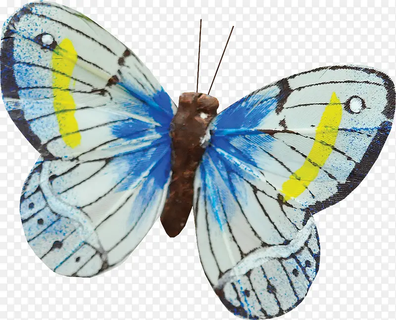 ����������-������