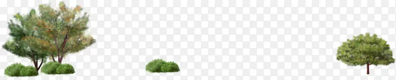 �ֻ���ľ����羰-������