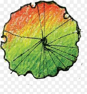 �ֻ���ľƽ���ֻ�-������