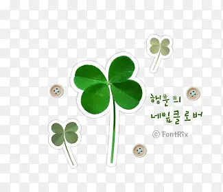 ��Ҷ��-������