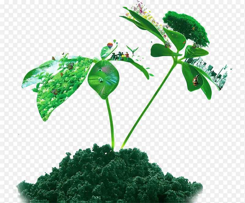 ������������-������