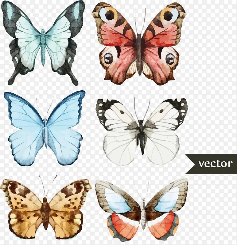 �������-������