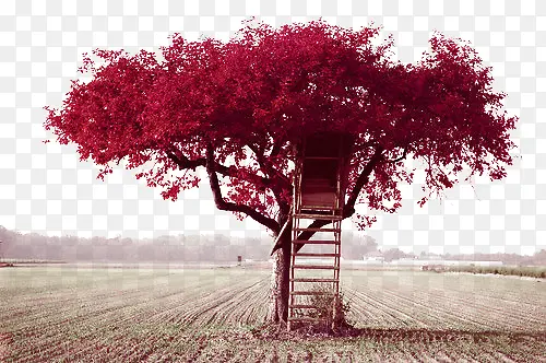 ����Ը-������