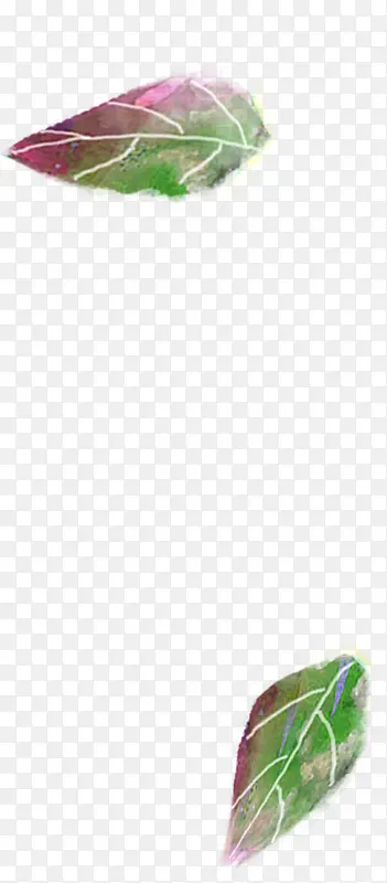 ��ɫ���䴴����Ҷ-������