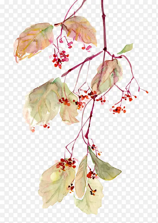 ���Ų�ɫ��ҶС��-������