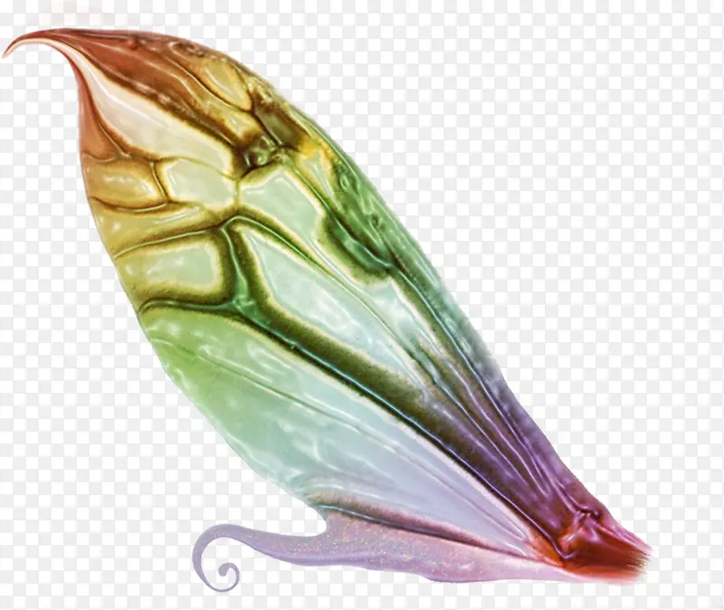 ��ɫ���������Ҷ-������