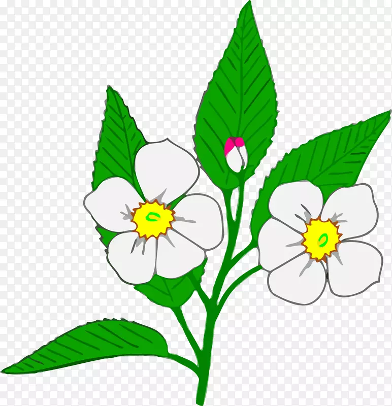 ��ƻ��������-������