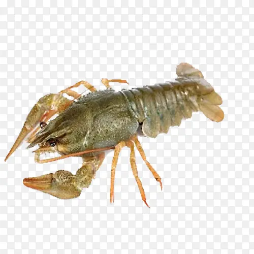 С��Ϻ-������