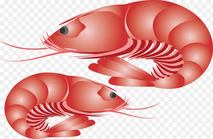 ��ͨ��Ϻ-������