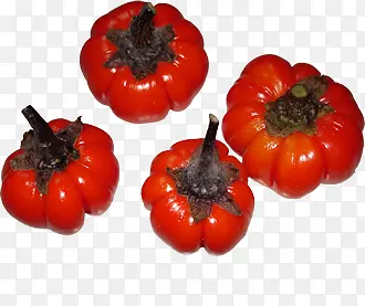 ��ɫ�ཷ�߲�-������